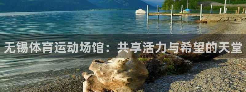 bbin视讯下